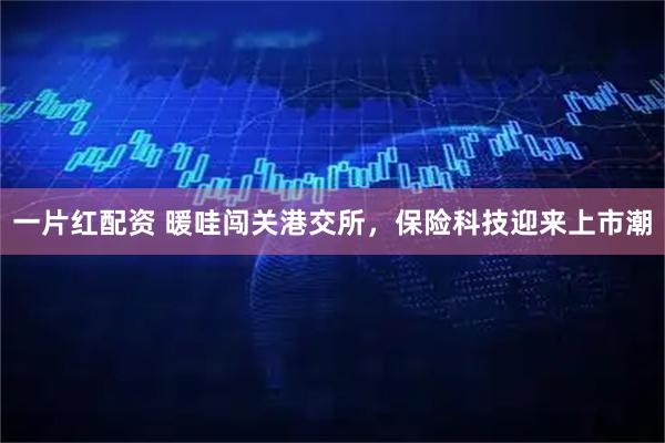 一片红配资 暖哇闯关港交所，保险科技迎来上市潮