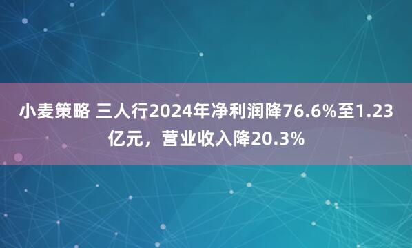 小麦策略 三人行2024年净利润降76.6%至1.23亿元，营业收入降20.3%
