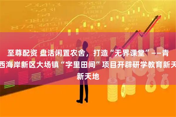 至尊配资 盘活闲置农舍，打造“无界课堂”——青岛西海岸新区大场镇“字里田间”项目开辟研学教育新天地