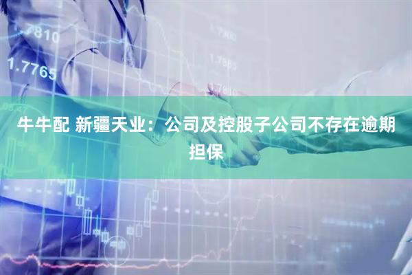 牛牛配 新疆天业：公司及控股子公司不存在逾期担保