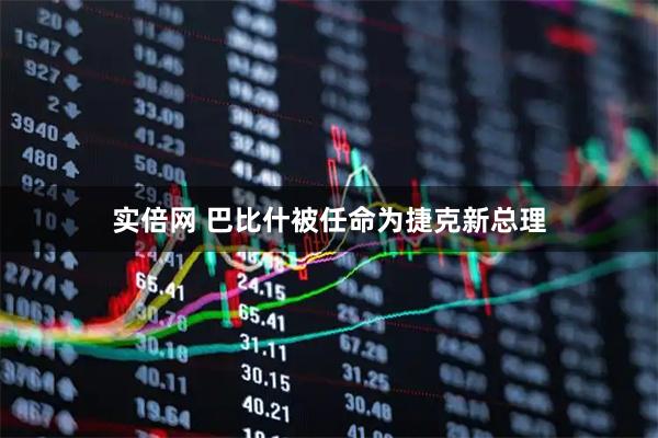 实倍网 巴比什被任命为捷克新总理