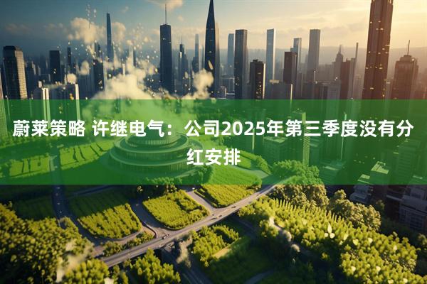蔚莱策略 许继电气：公司2025年第三季度没有分红安排