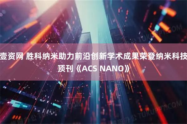 壹资网 胜科纳米助力前沿创新学术成果荣登纳米科技顶刊《ACS NANO》