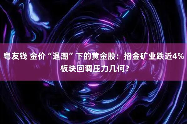 粤友钱 金价“退潮”下的黄金股：招金矿业跌近4% 板块回调压力几何？
